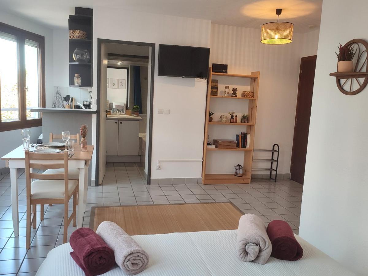 Joli Studio Tout Confort - Centre-Ville Annecy Zewnętrze zdjęcie